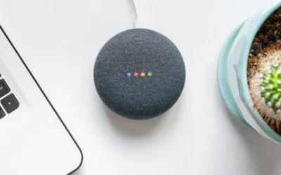 Maximize Google Assistant For Your Business