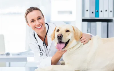 5 Platforms Where You Can List Your Veterinary Clinic